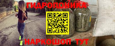 гашик Пушкино