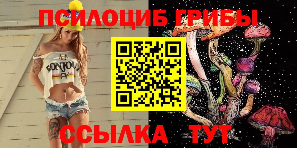 Псилоцибиновые грибы мицелий Орск