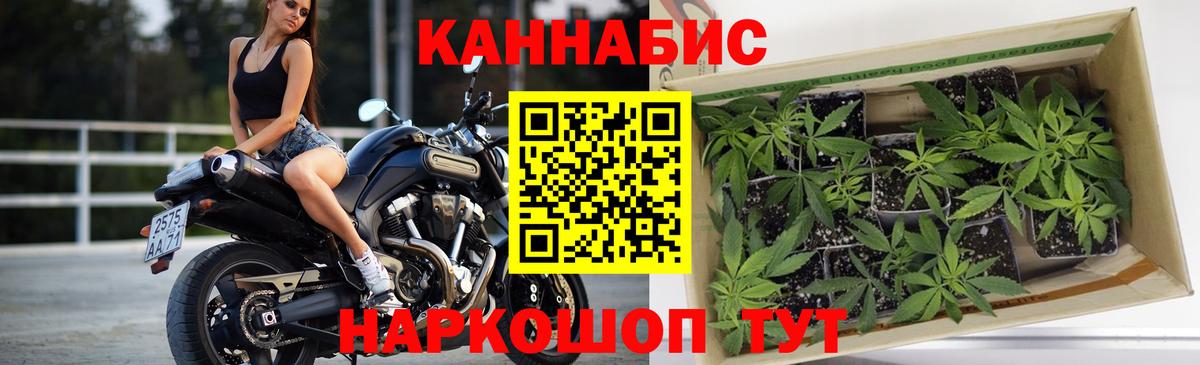 Конопля White Widow  Шишки марихуана семена  Вход с VPN  Орск  Конопля сатива  Бошки Шишки VHQ 